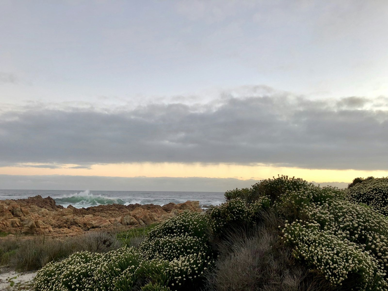 Photo by Pieter Bouwer on Unsplash