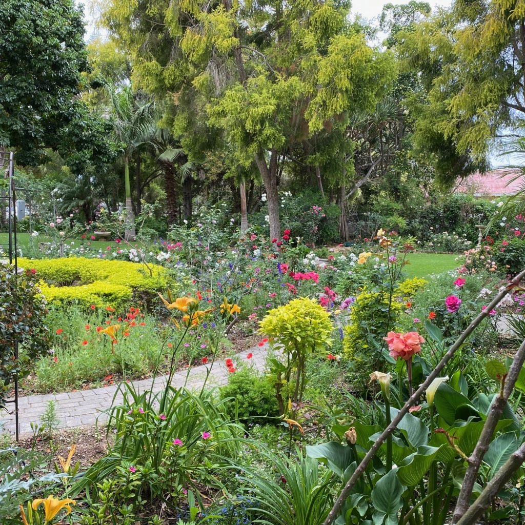 ‘n Pragtige tuin in Oranjesingel