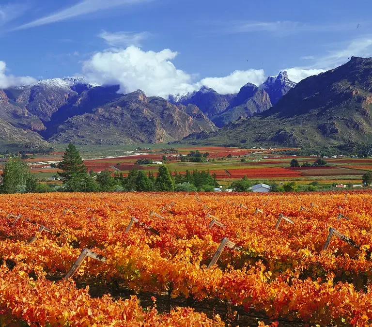 Ep 86: Robertson se wingerde, valskermspringers, troues, stoomtrein en planne vir uitdagings
