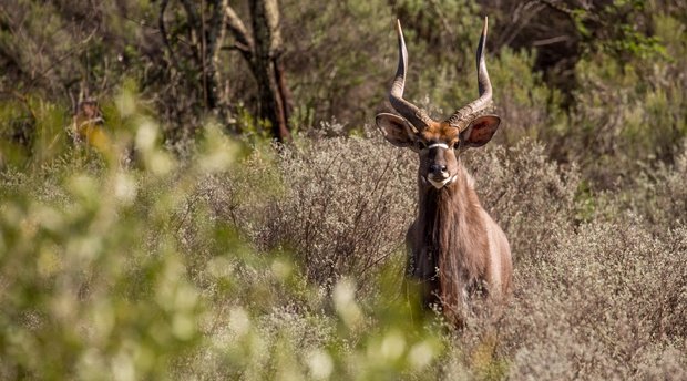 Ep 57: Eiendomsbelasting op wildsplase, ouetehuise, woonstelle en kommunes kan drasties verhoog